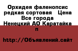 Орхидея фаленопсис редкая сортовая › Цена ­ 800 - Все города  »    . Ненецкий АО,Каратайка п.